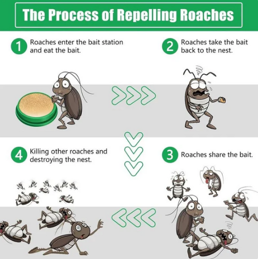 Cockroach Killer  Gel (Pack of 24pc)